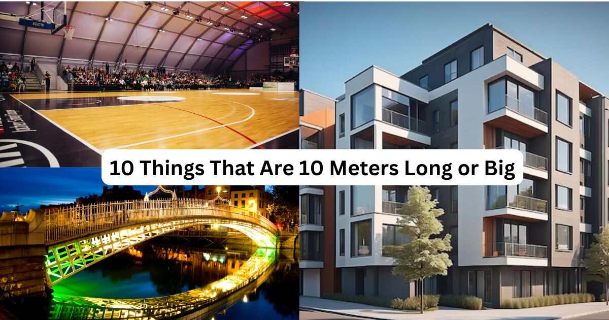 10 Things That Are 10 Meters Long or Big