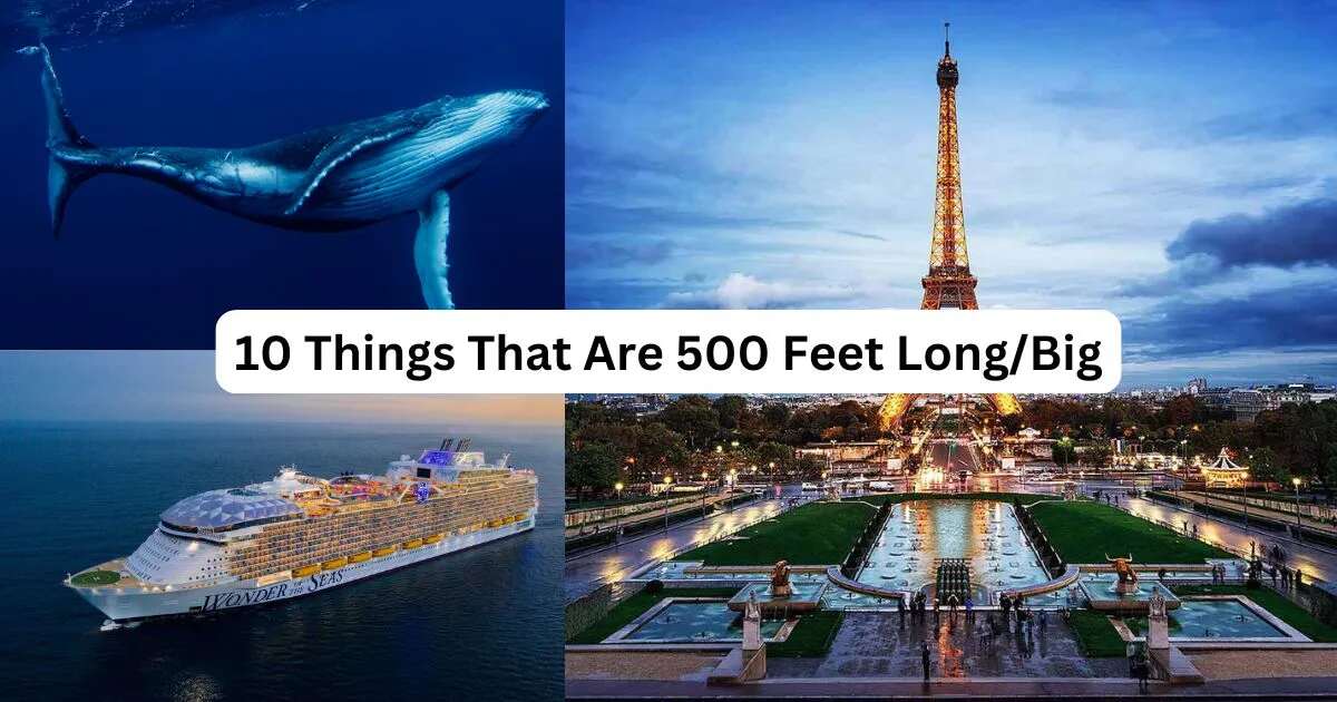 10 Things That Are 500 Feet Long/Big