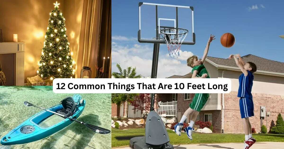 12 Common Things That Are 10 Feet Long