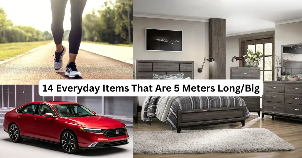 14 Everyday Items That Are 5 Meters Long/Big