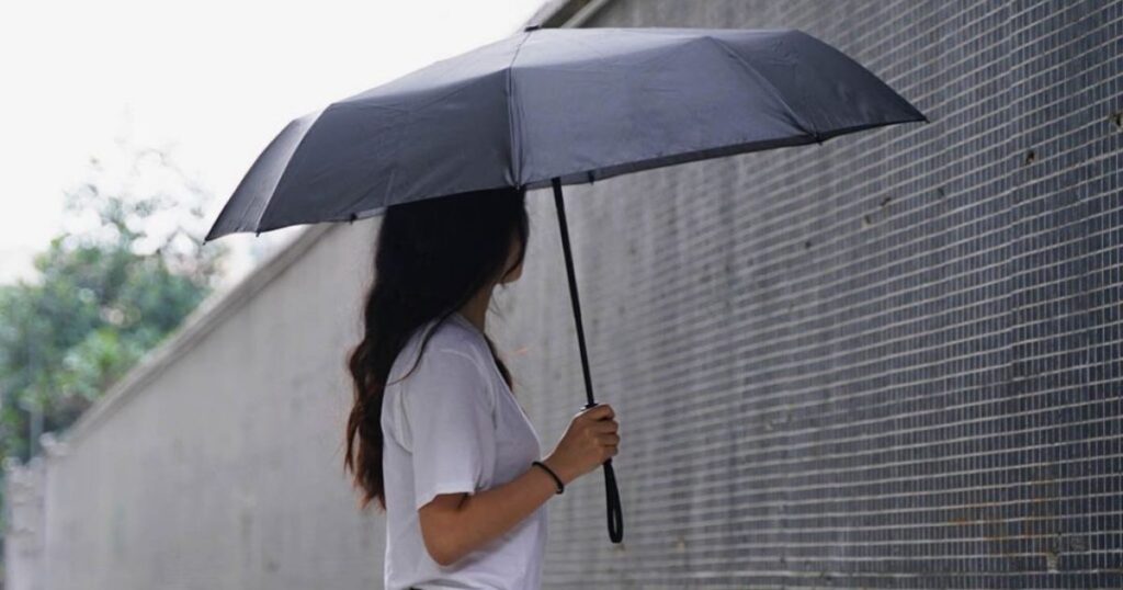 11 Common Things That Are 30 Centimeters Long Travel Umbrella