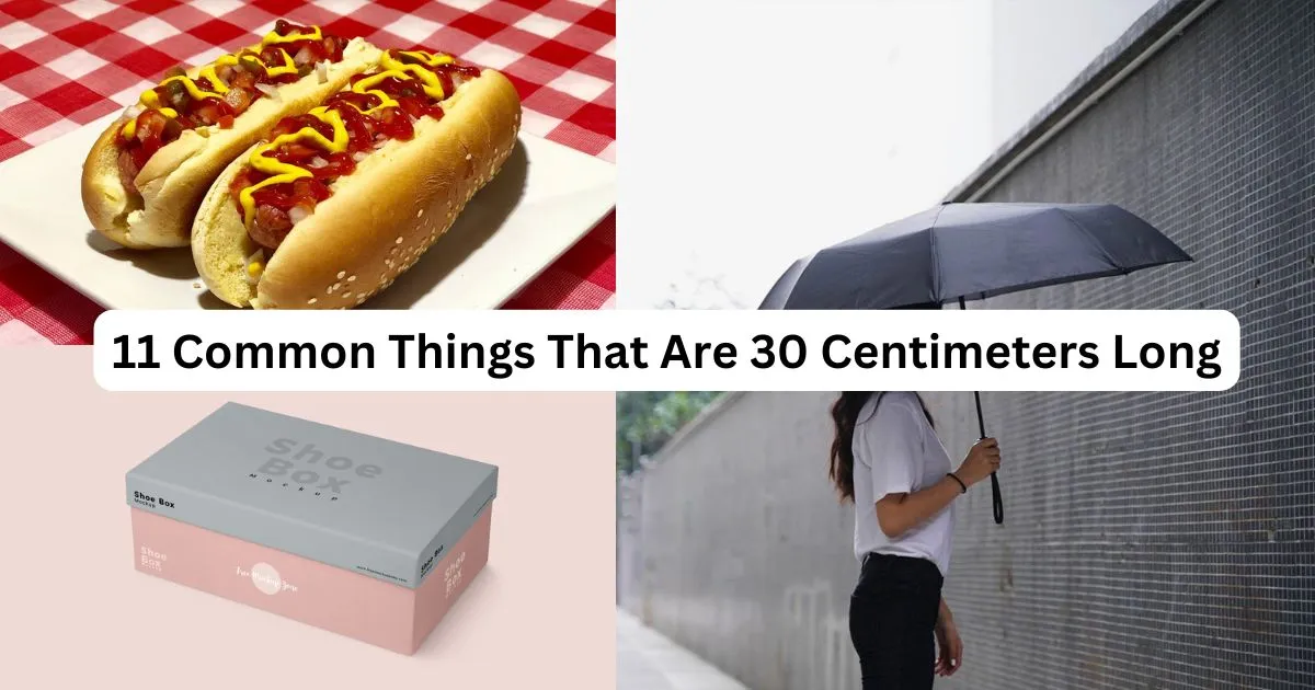 11 Common Things That Are 30 Centimeters Long