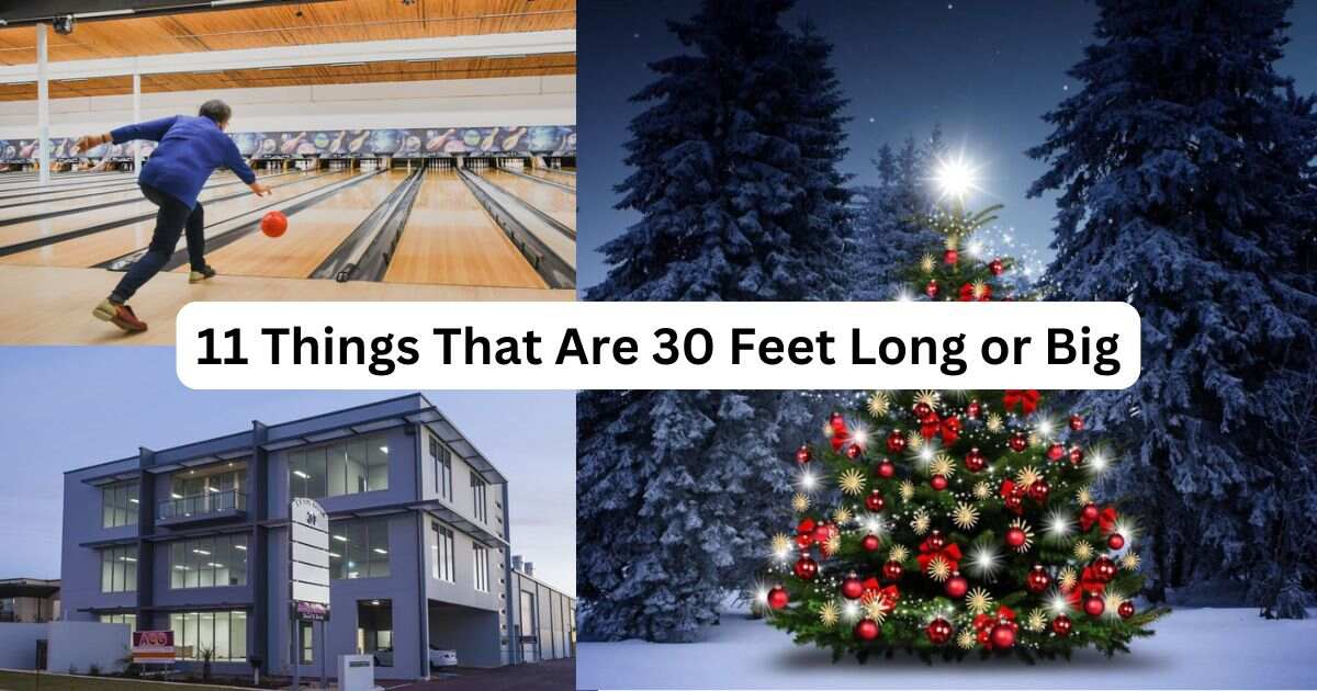 11 Things That Are 30 Feet Long or Big