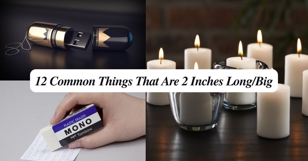 12 Common Things That Are 2 Inches Long/Big