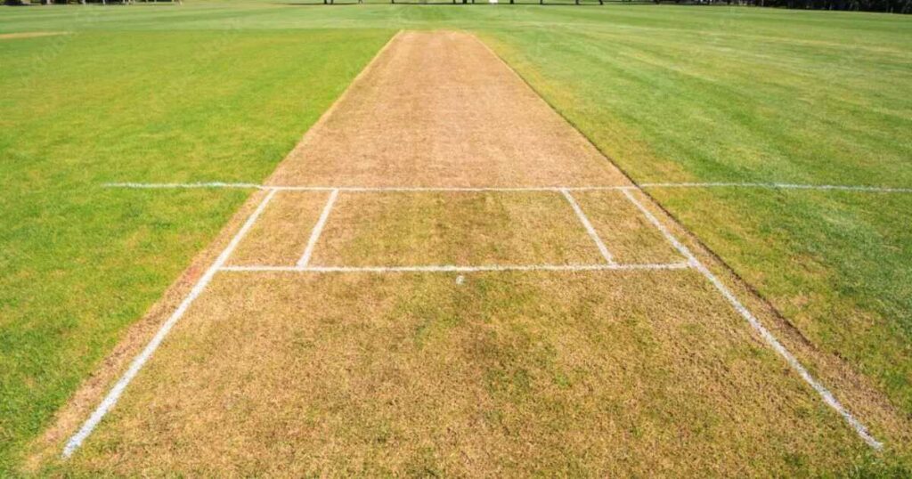 12 Common Things That Are 40 Meters (m) Long/ Big 2x the Length of a Cricket Pitch