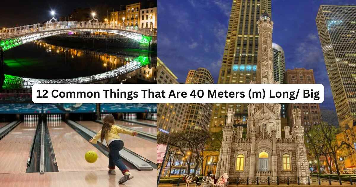 12 Common Things That Are 40 Meters (m) Long/ Big