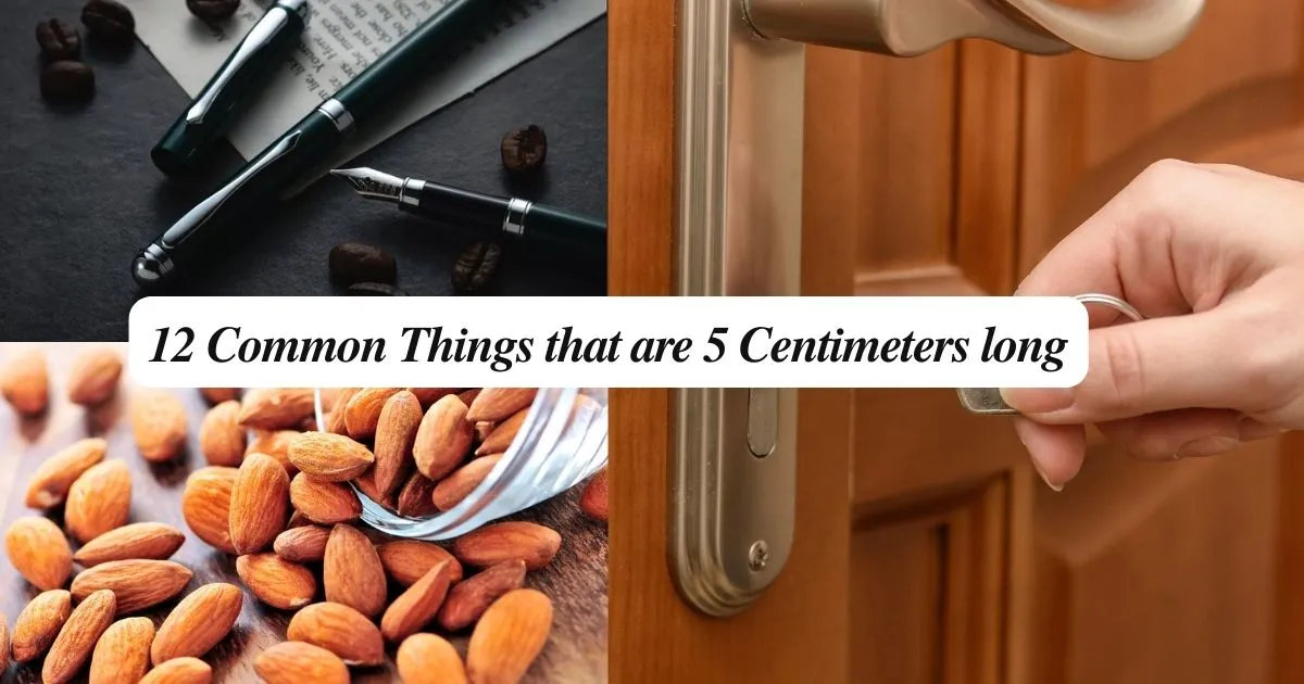 12 Common Things that are 5 Centimeters long