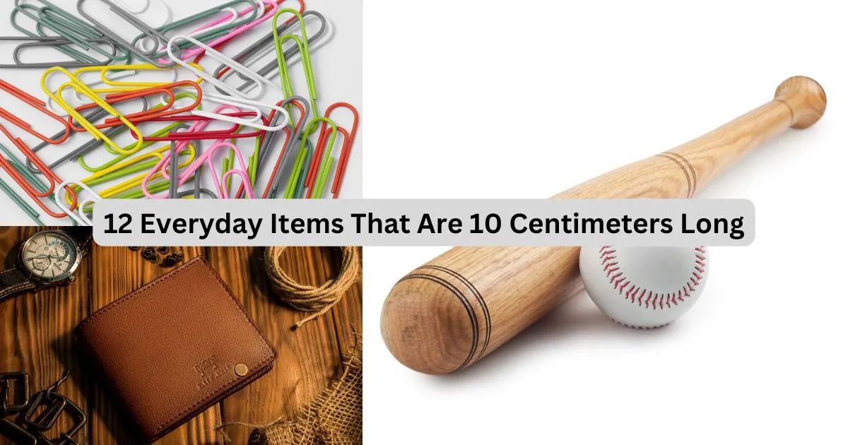 12 Everyday Items That Are 10 Centimeters Long