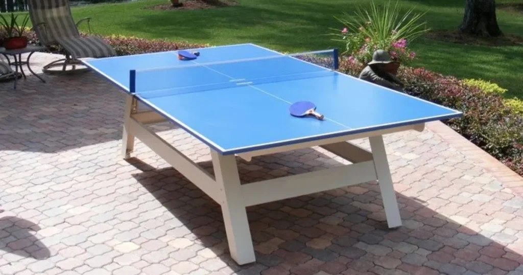 12 Things and Animals That Are 10 Feet Long Ping Pong Table 