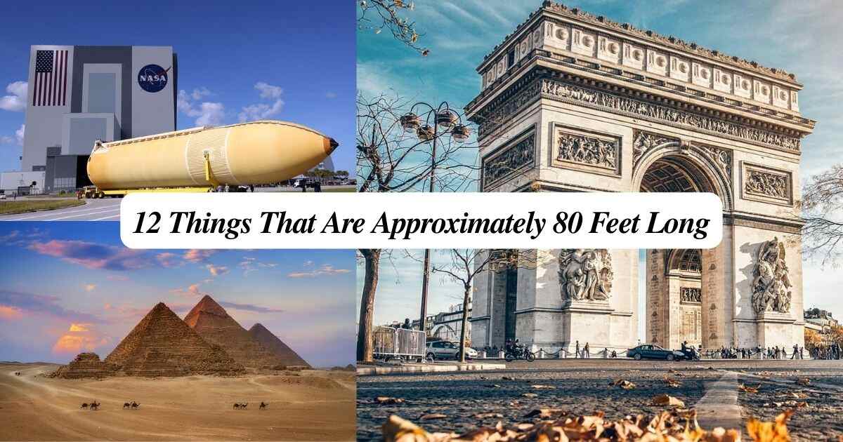 12 Things That Are Approximately 80 Feet Long