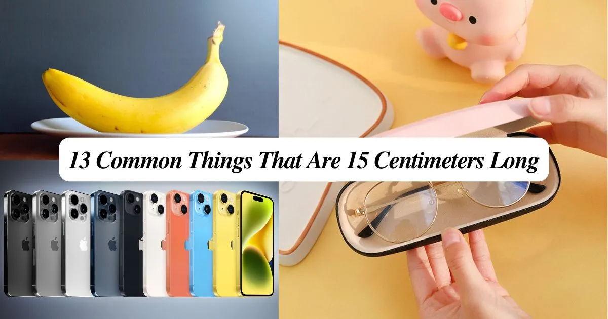 13 Common Things That Are 15 Centimeters Long