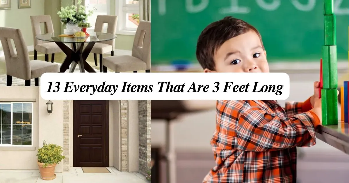 13 Everyday Items That Are 3 Feet Long