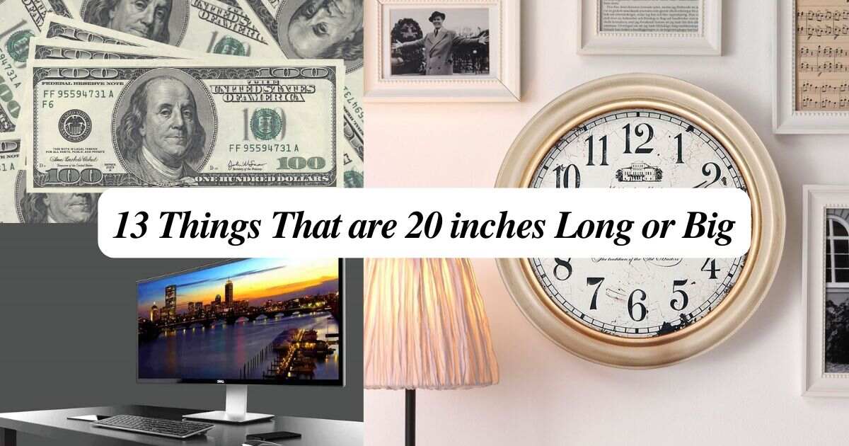 13 Things That are 20 inches Long or Big