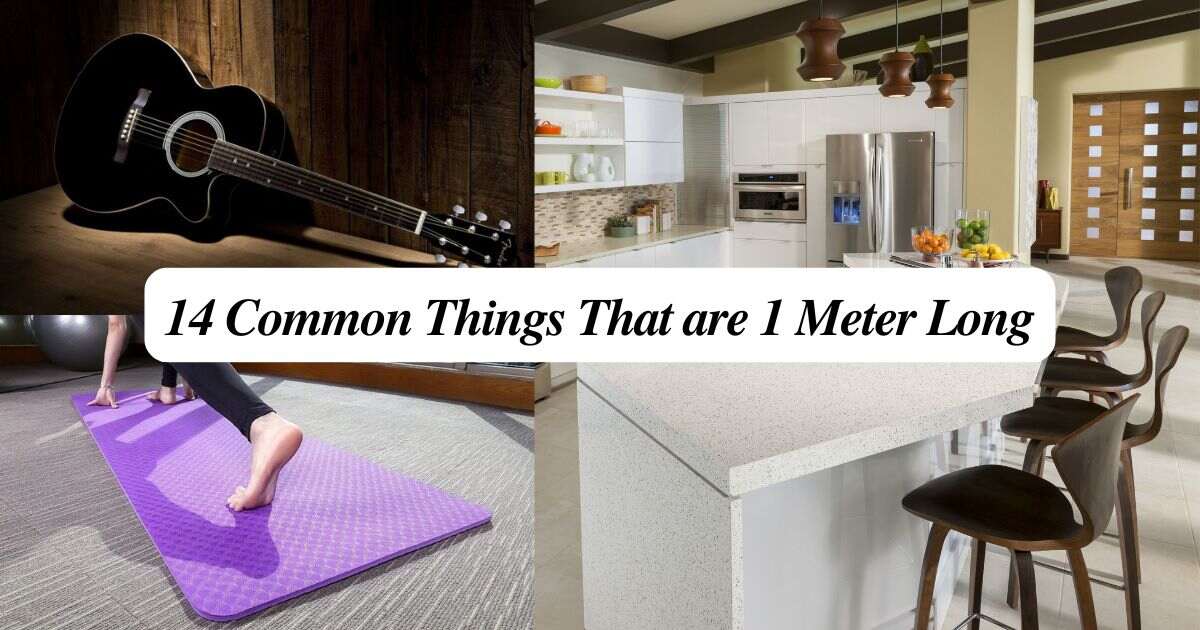 14 Common Things That are 1 Meter Long