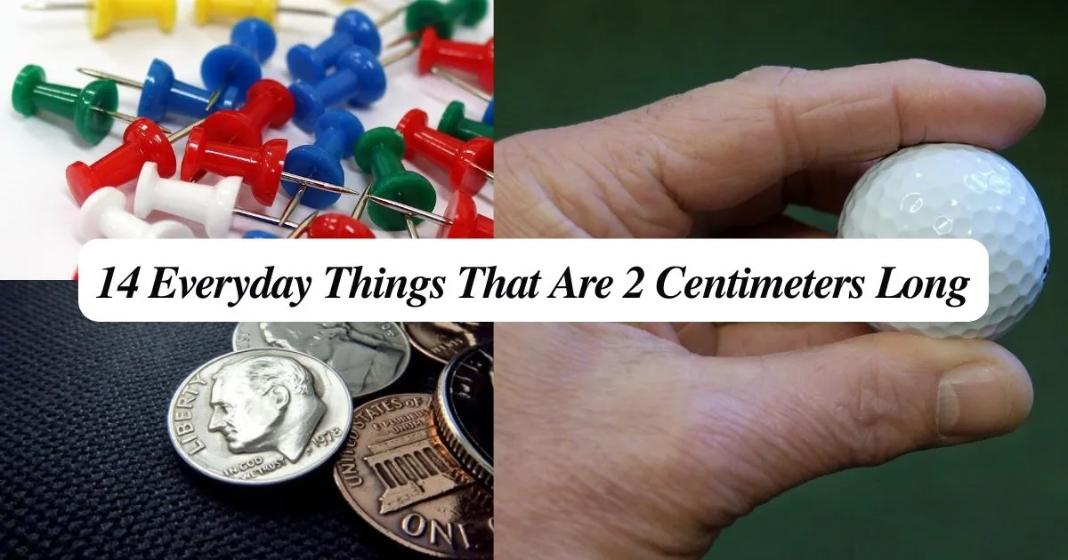 14 Everyday Things That Are 2 Centimeters Long