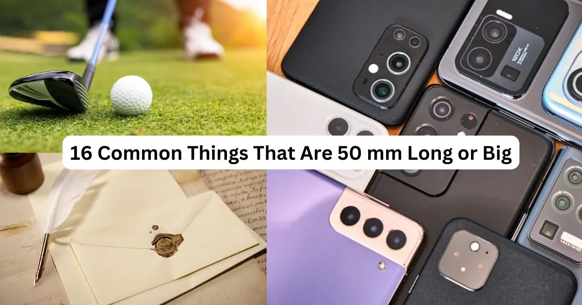 16 Common Things That Are 50 mm Long or Big