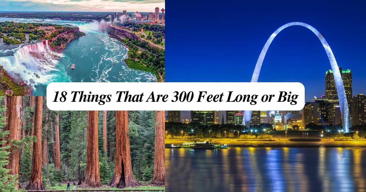 18 Things That Are 300 Feet Long or Big