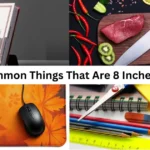 11 Common Things That Are 8 Inches Long: A Practical Guide