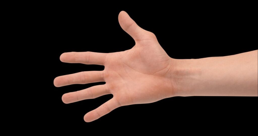 11 Common Things That Are 8 Inches Long: A Practical Guide An Average Male Hand