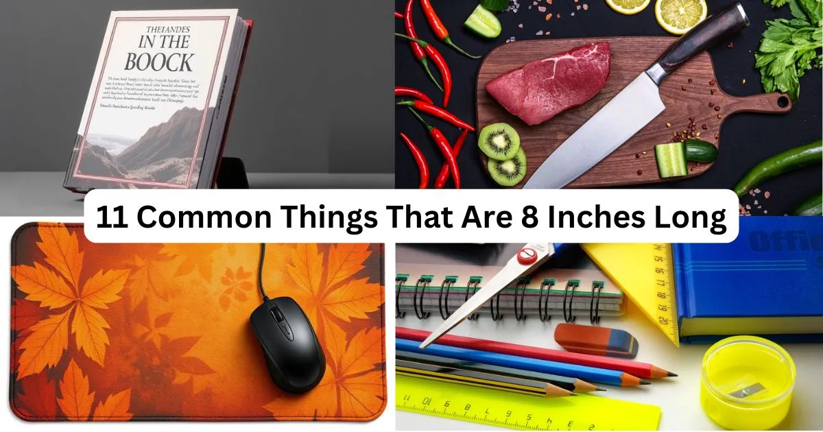 11 Common Things That Are 8 Inches Long: A Practical Guide