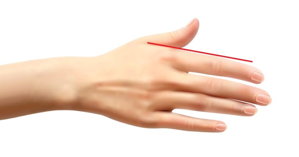 13 Common Things that are 10 Inches long Hand Size