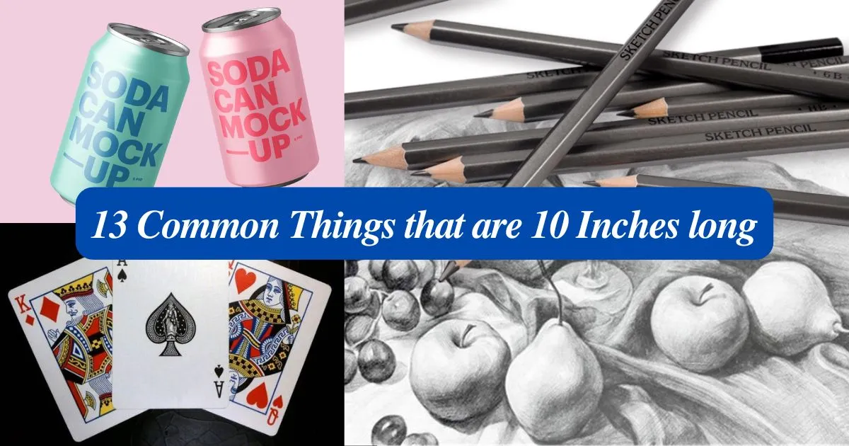 13 Common Things that are 10 Inches long