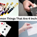 13 Common Things That Are 4 Inches Long