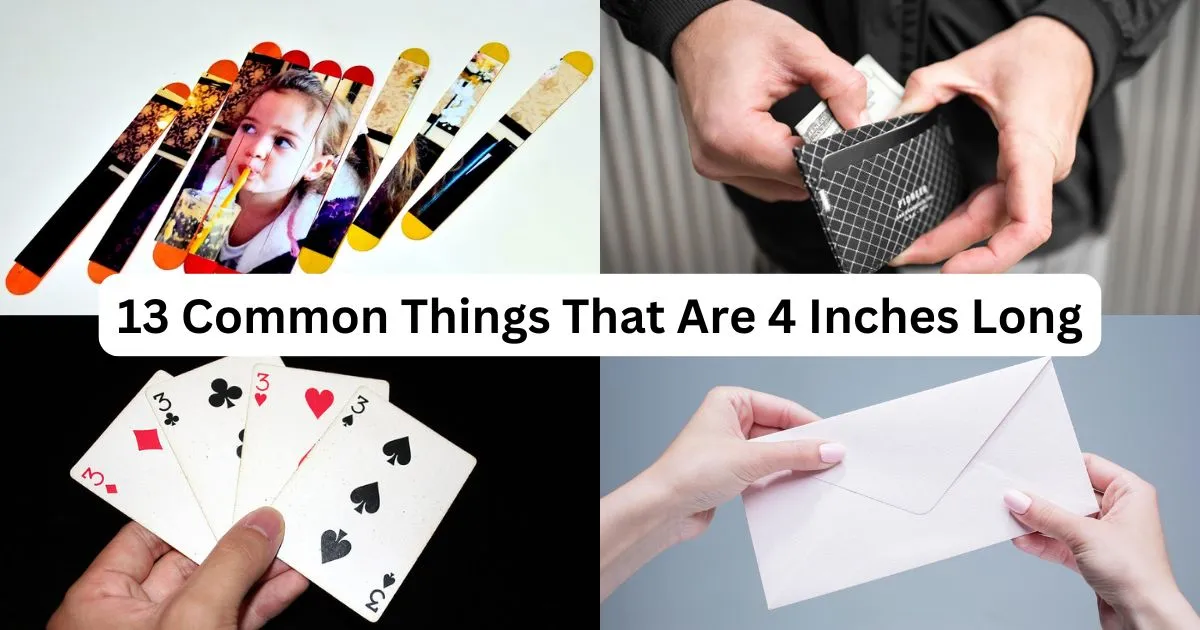 13 Common Things That Are 4 Inches Long