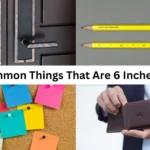 13 Common Things That Are 6 Inches Long