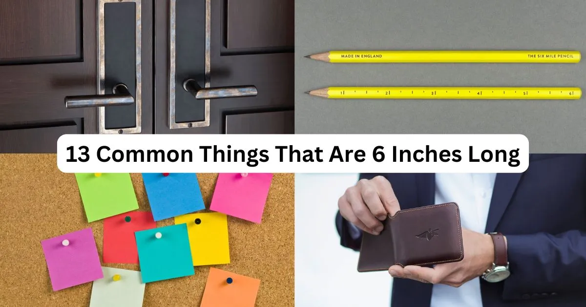 13 Common Things That Are 6 Inches Long