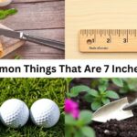 13 Common Things That Are 7 Inches Long