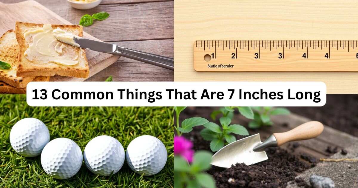 13 Common Things That Are 7 Inches Long