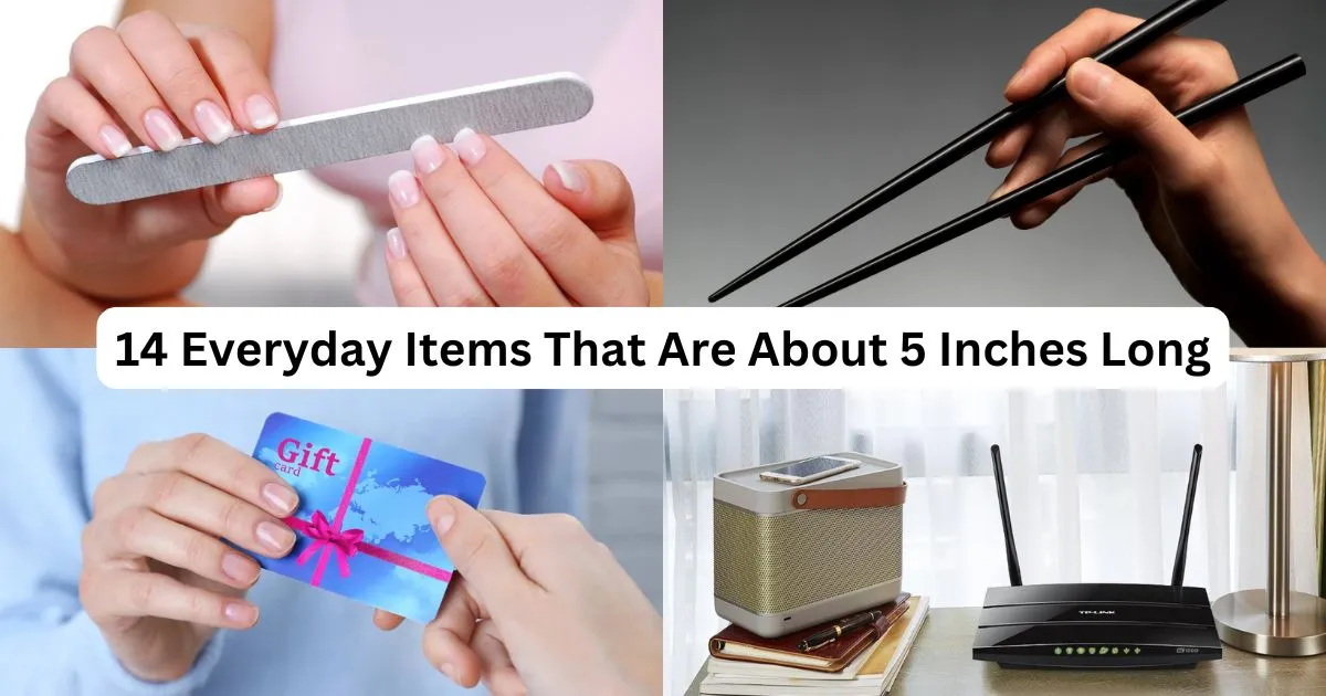 14 Everyday Items That Are About 5 Inches Long