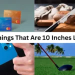 How Long is 10 Inches? 12 Things That Are 10 Inches Long 