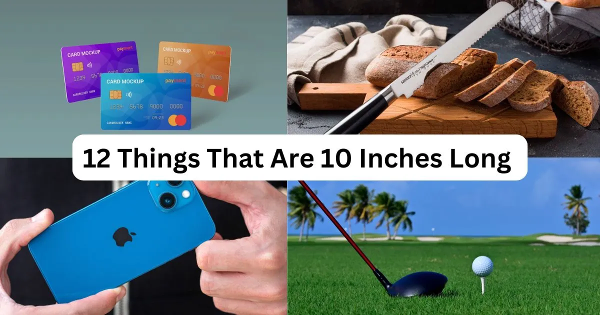 How Long is 10 Inches? 12 Things That Are 10 Inches Long 