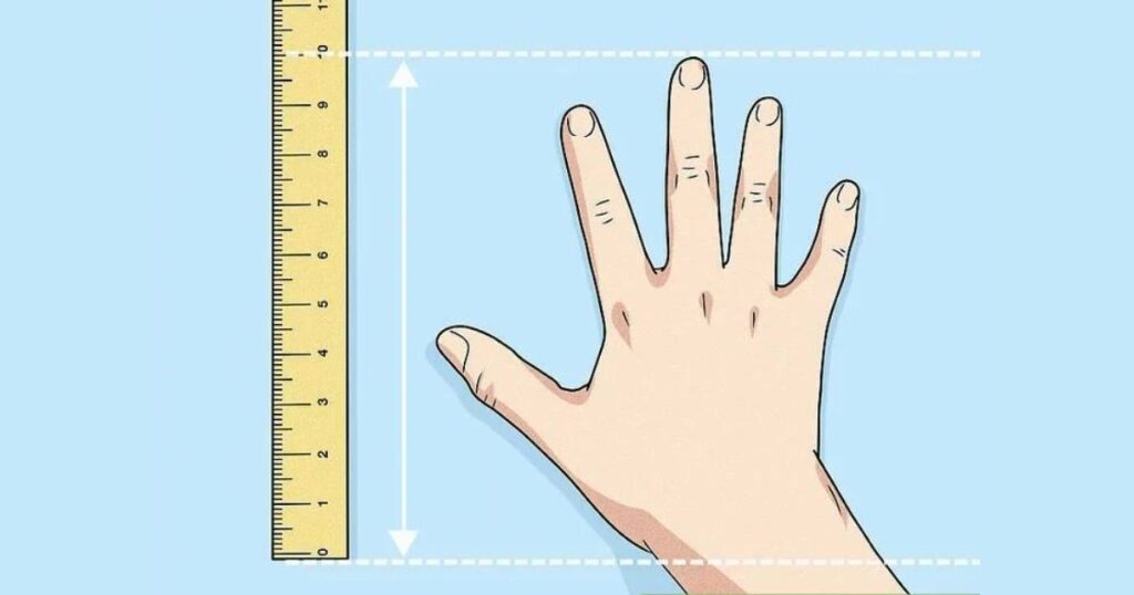 How Long is 10 Inches? 12 Things That Are 10 Inches Long Hand Size