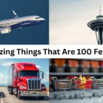 How Long is 100 Feet? 12 Amazing Things That Are 100 Feet Long