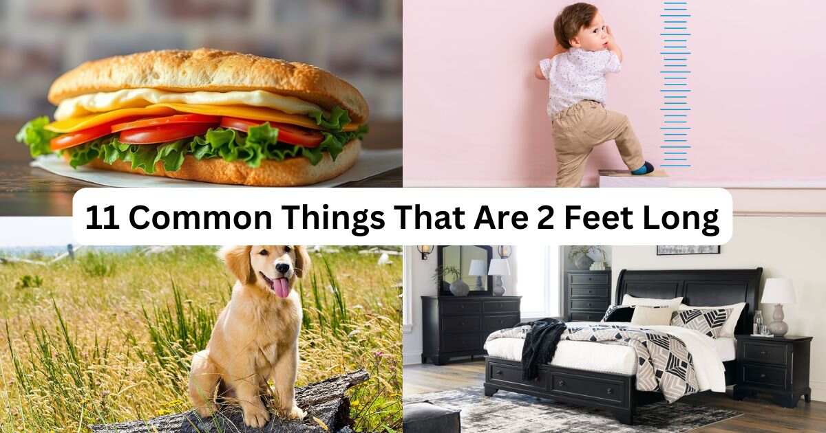 How Long is 2 Feet? 11 Common Things That Are 2 Feet Long