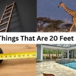 How Long is 20 Feet? 11 Things That Are 20 Feet Long