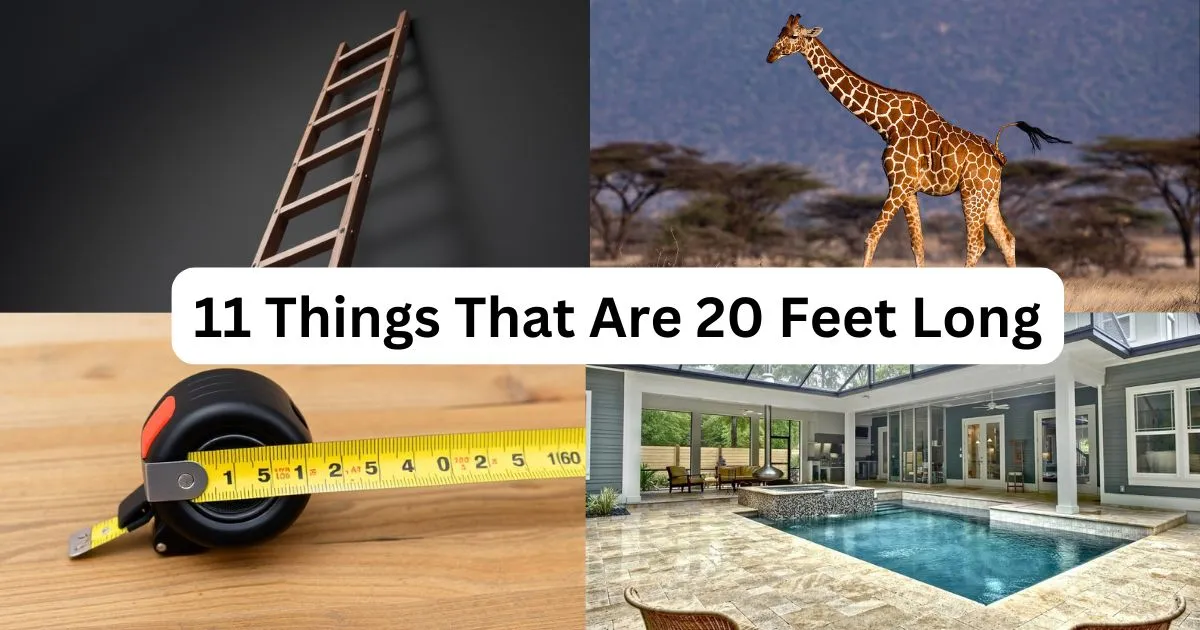 How Long is 20 Feet? 11 Things That Are 20 Feet Long