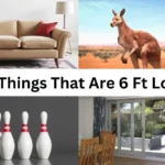 How Long is 6 Feet? 13 Things That Are 6 Ft Long