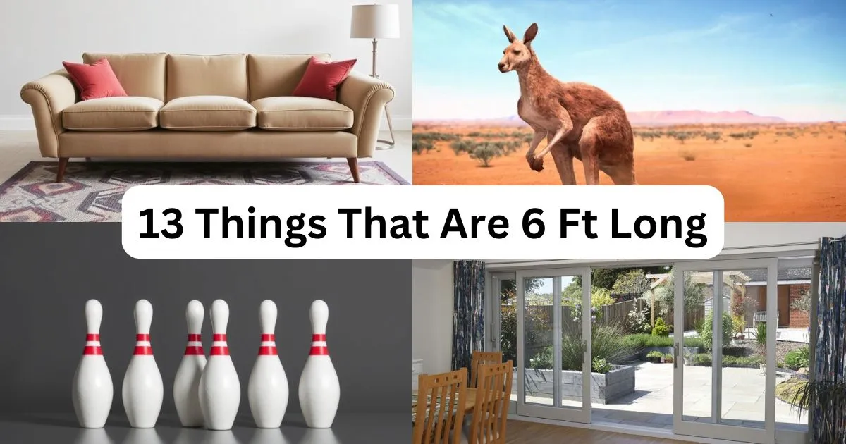 How Long is 6 Feet? 13 Things That Are 6 Ft Long