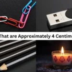 13 Things That are Approximately 4 Centimeters Long