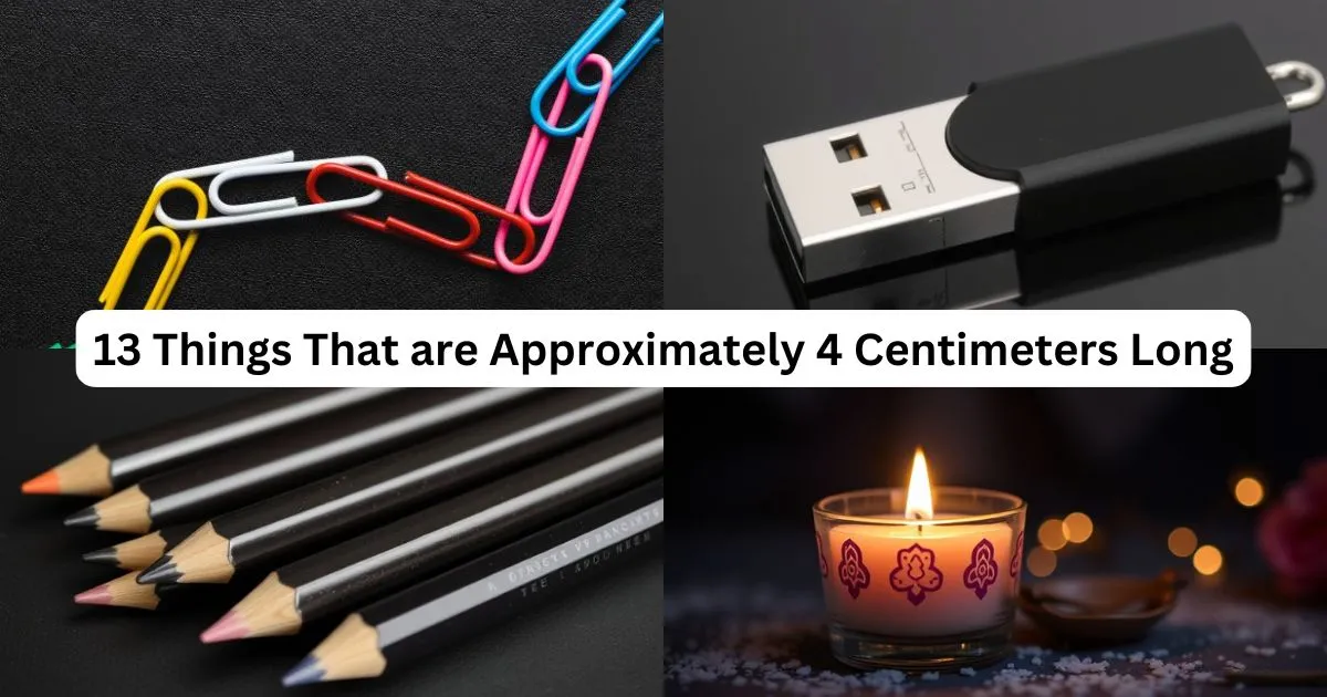 13 Things That are Approximately 4 Centimeters Long