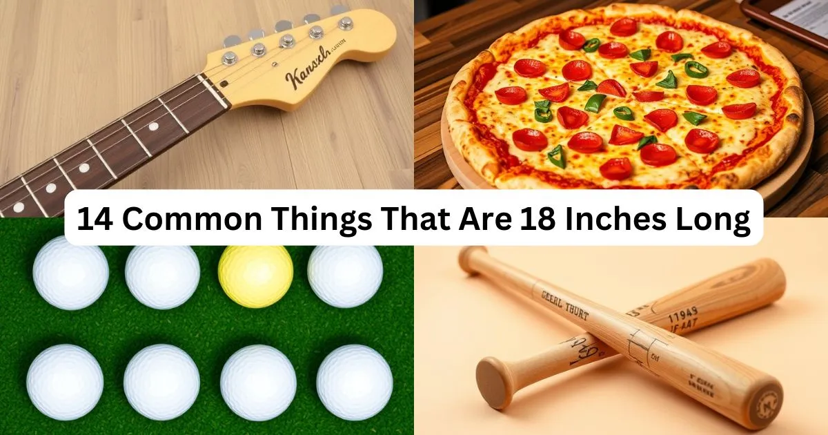 14 Common Things That Are 18 Inches Long