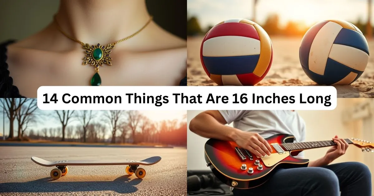 14 Common Things That Are About 16 Inches Long