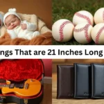 14 Things That are 21 Inches Long or Big