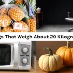 15 Common Things That Weigh About 20 Kilograms (kg)