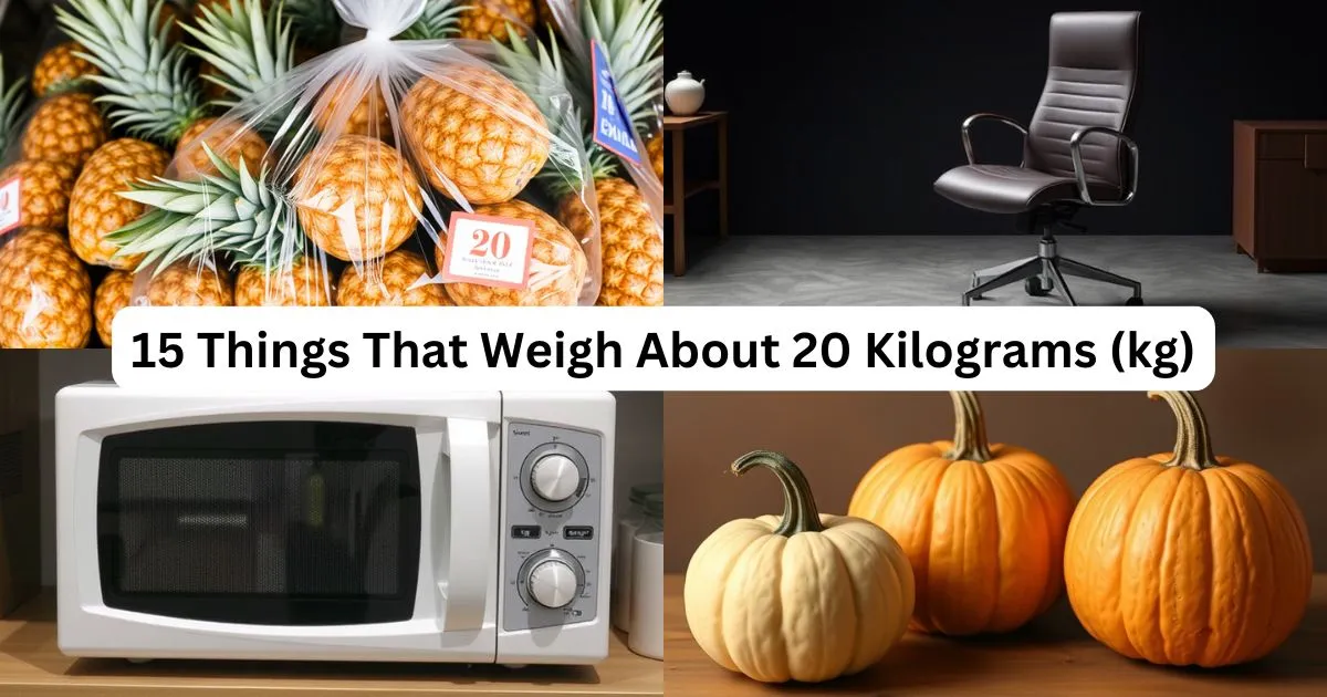 15 Common Things That Weigh About 20 Kilograms (kg)