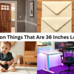 16 Common Things That Are 36 Inches Long or Big